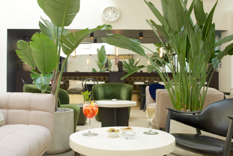 EXCLUSIVE: My Hotel Chelsea introduces new Living Room as part of ...