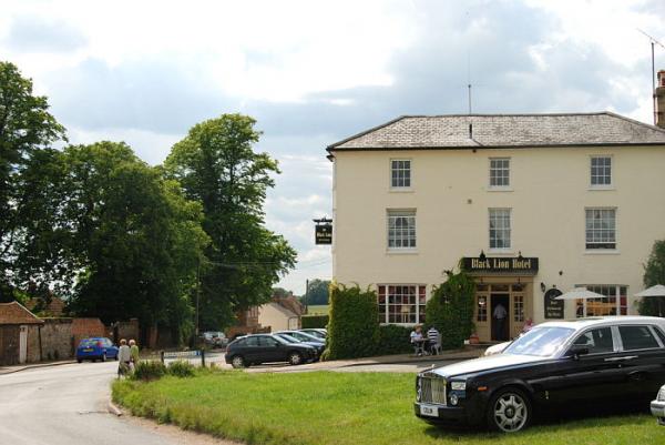 Chestnut black lion long melford