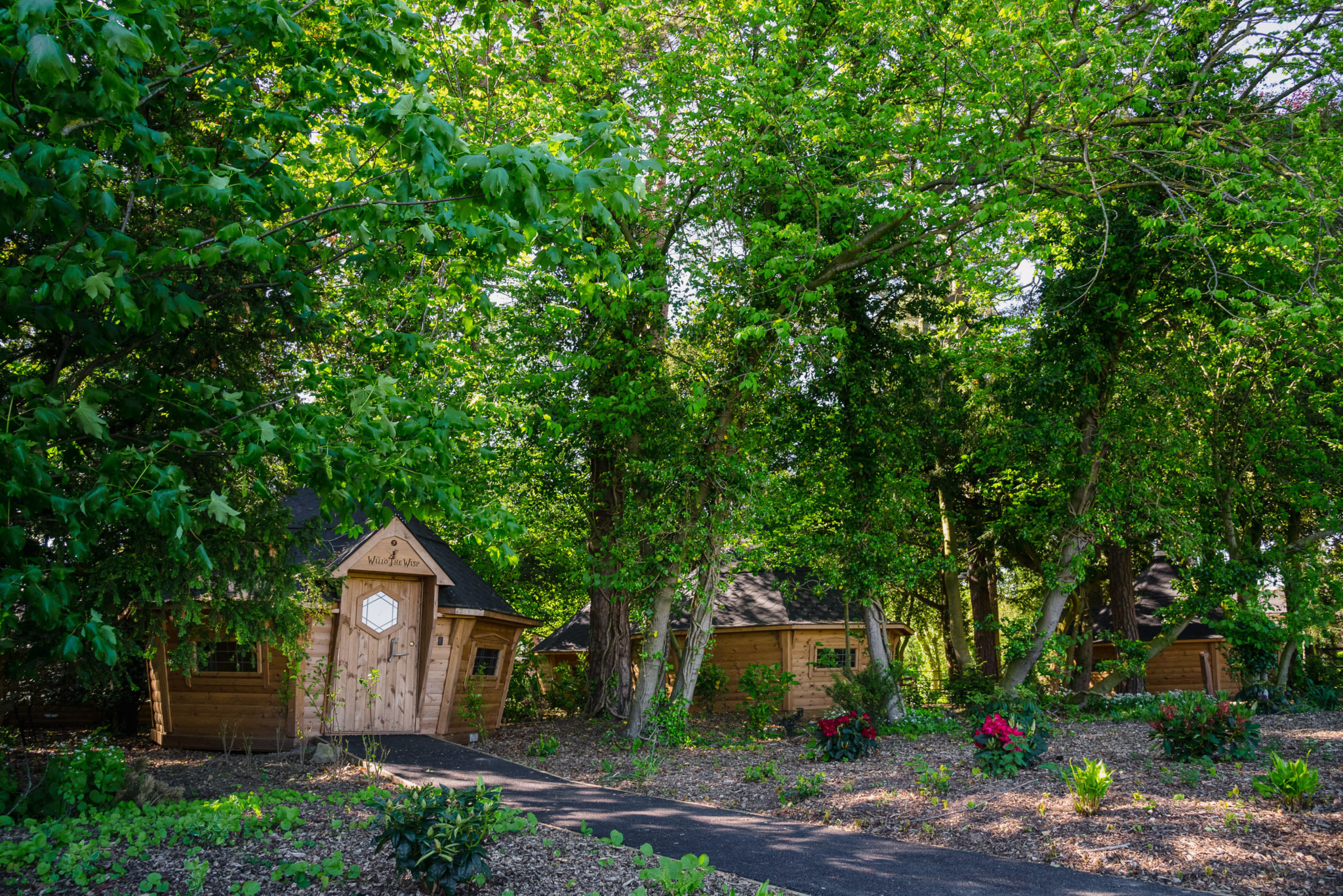 FIRST LOOK: Rockliffe Hall launches ‘enchanting’ Alice in Wonderland-inspired play area 8 rockliffe Hall 002