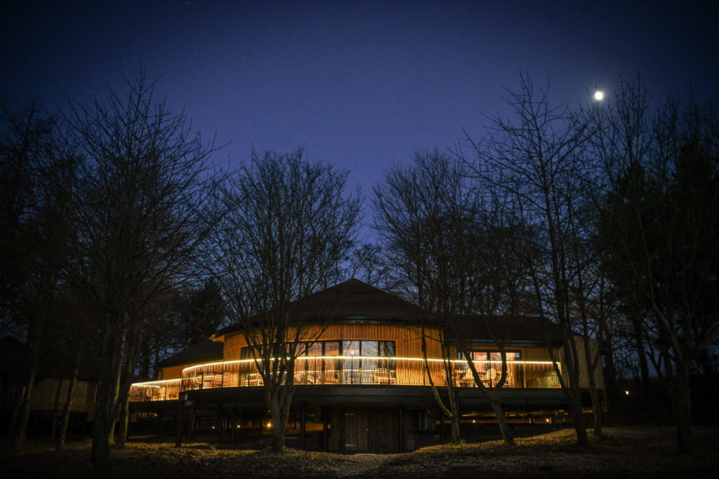 Ramside Hall opens first of trio of luxury treehouses