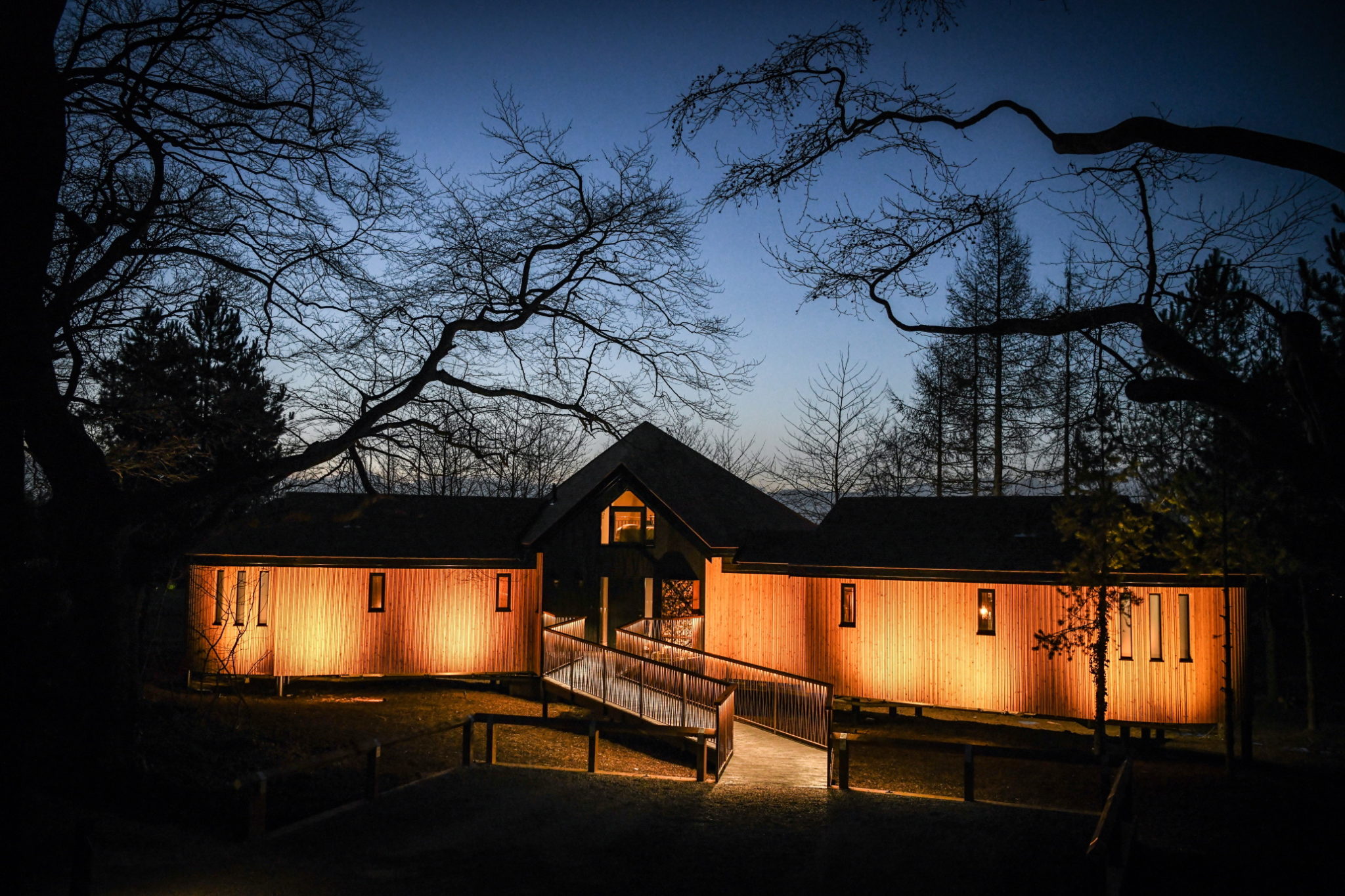 Ramside Hall opens first of trio of luxury treehouses