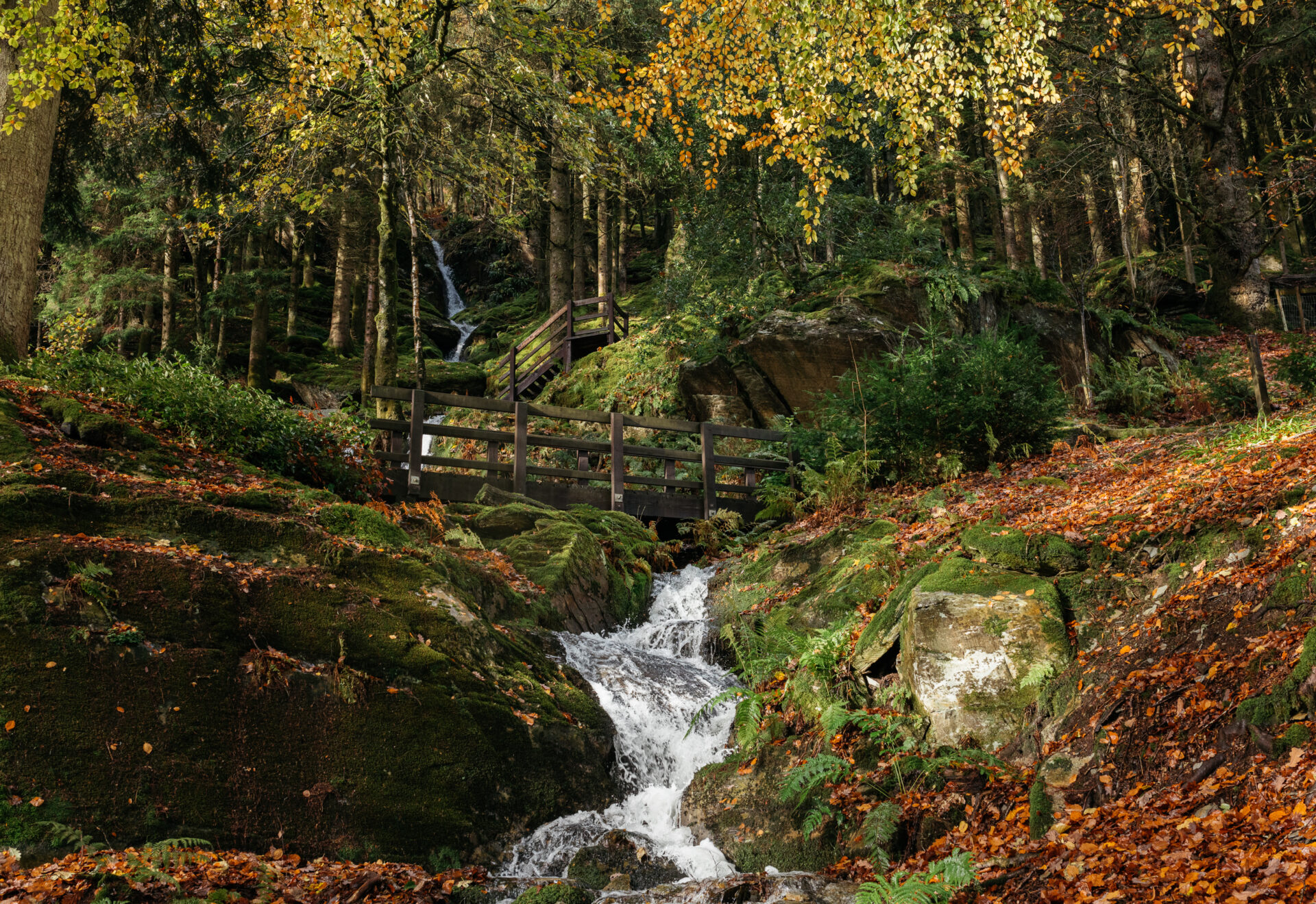 Charlotte Church: "My retreat is not a capitalist endeavour"
