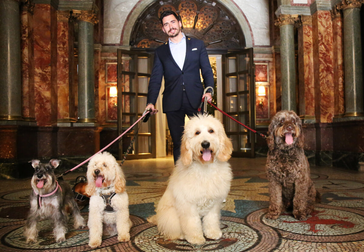 Dogfriendly hotels 21 places in the UK that love pooches